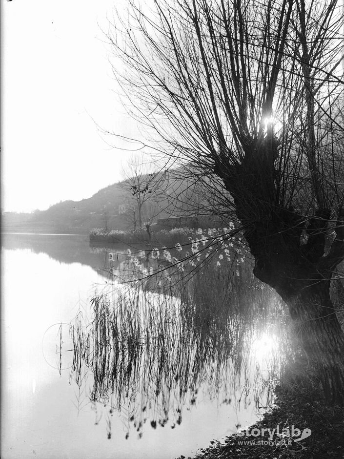 Riflessi nel lago