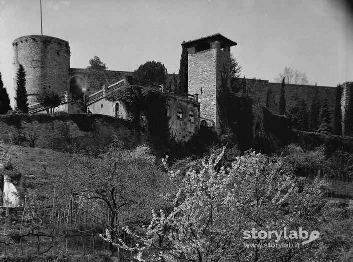 Colli in Città Alta