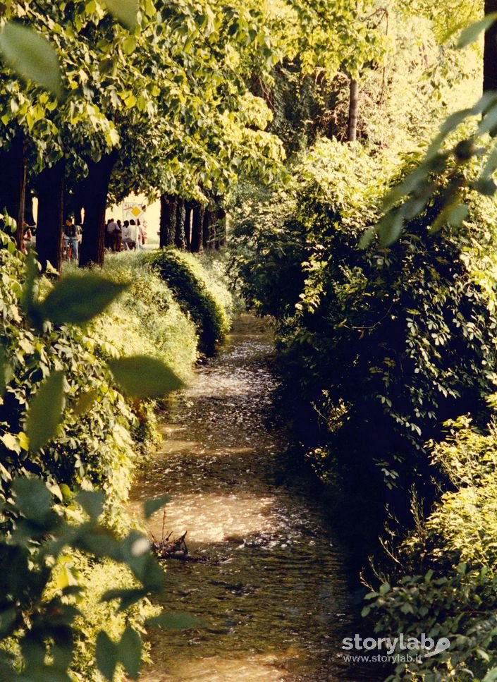 Canale Irriguo A Malpaga