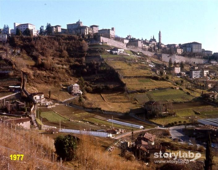 Conca D'Oro Bergamo Anno 1977