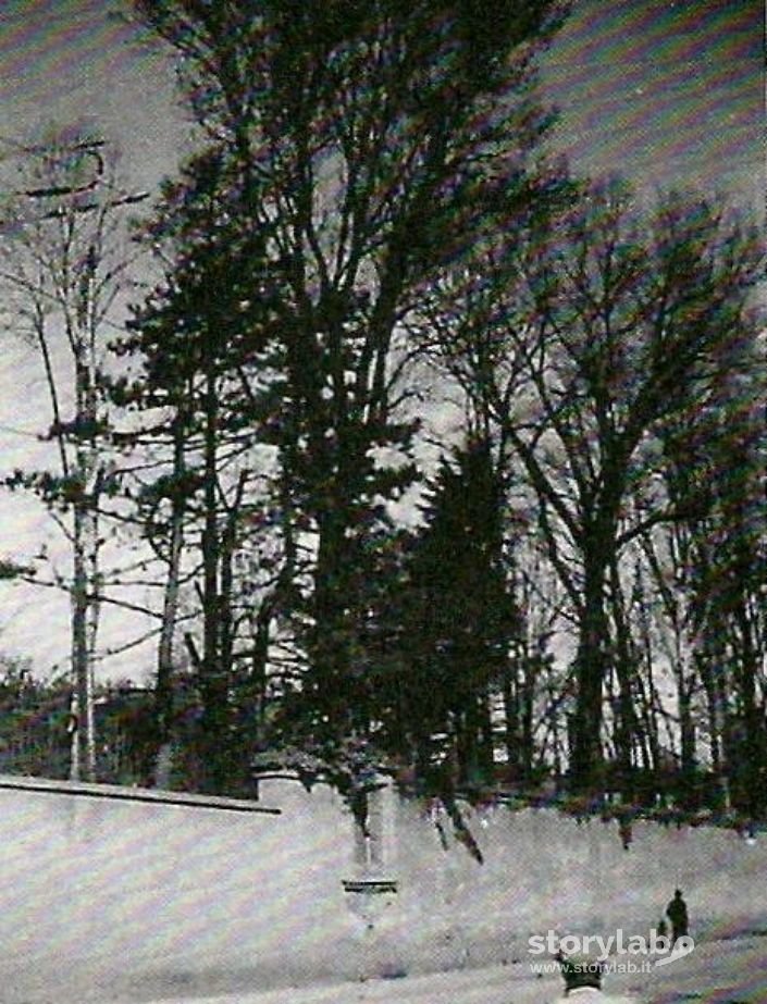 Esterno Parco Suardi 1942