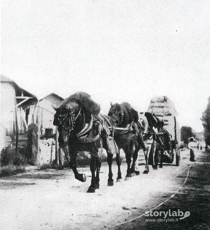 Trasporto Del Cemento Da Alzano Sopra Alla Stazione Di Bergamo 1878