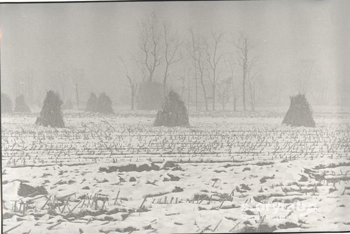 Campi Innevati A Spirano