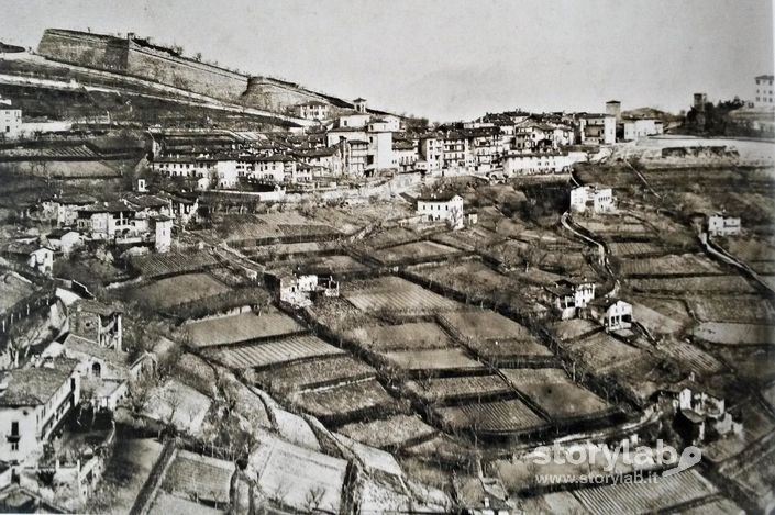Borgo Canale 1880