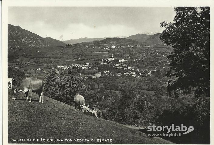 Cartolina, Solto Collina 