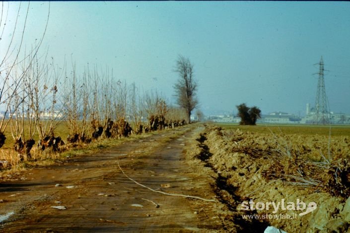 Strada Dei Campi