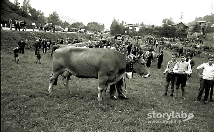 Mostra Agricola