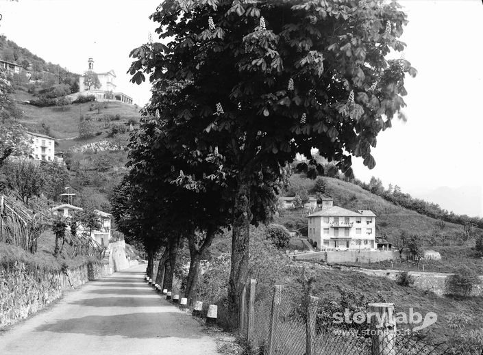 Veduta Dal Santuario Di Loreto